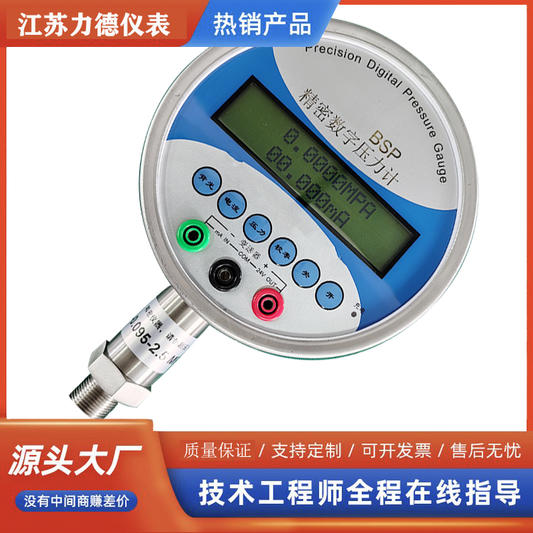 0.1/0.2级精密数字压力表概   述