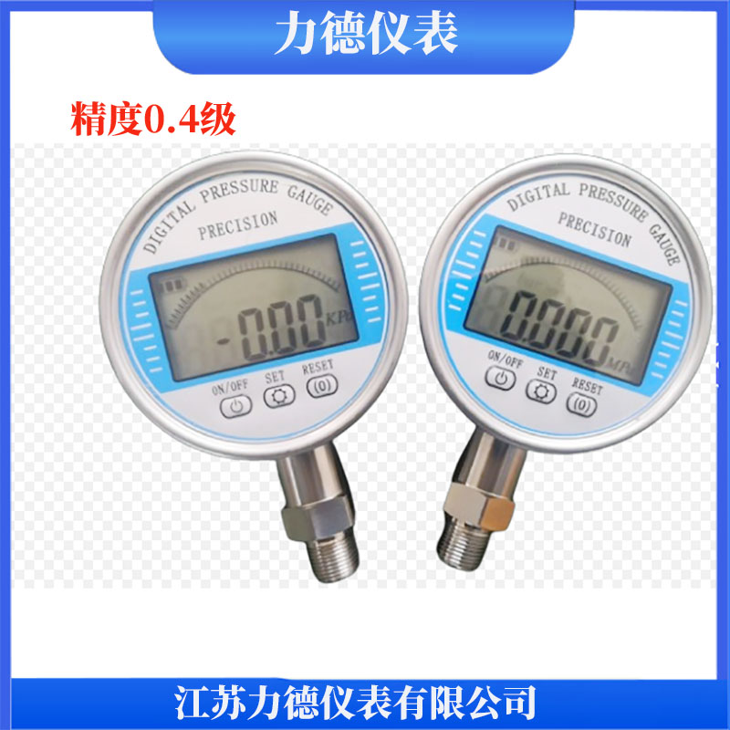 LDYBS系列精密数字压力表0.4级