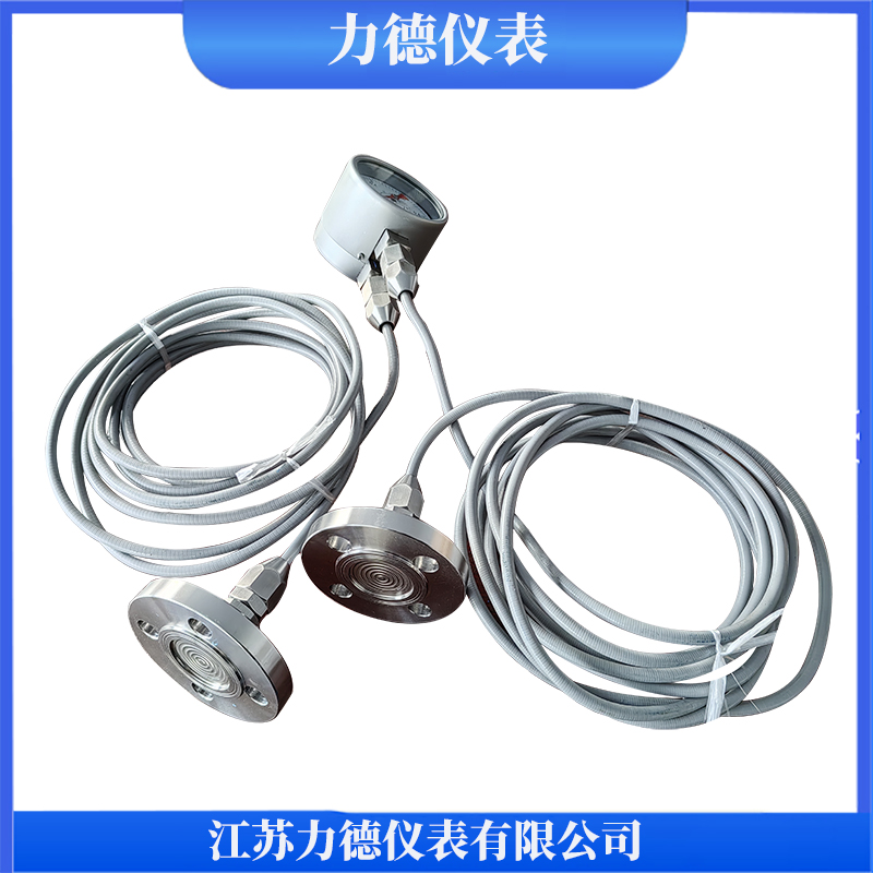 CYBF100ML/316L隔膜差压表